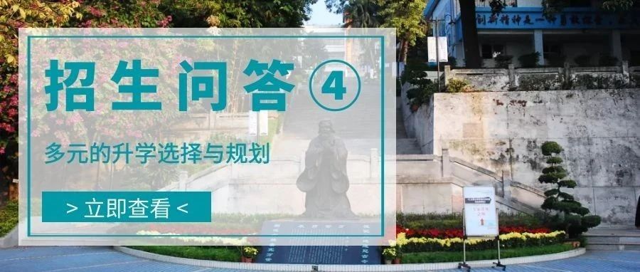 国际部招生问答④ | 多元的升学选择与规划