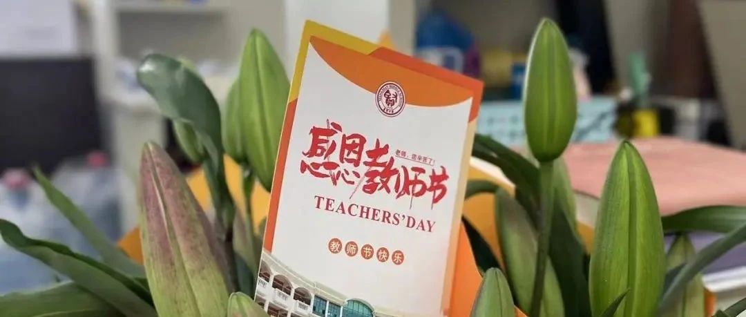 团圆遇上成长之恩