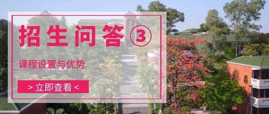 国际部招生问答③ | 课程设置与优势